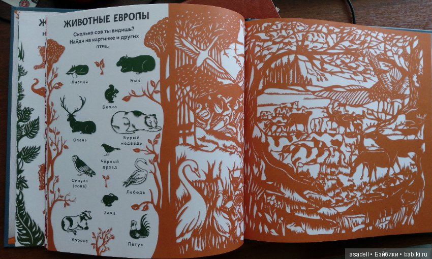 Богатство книжного мира — Интересное и необычное: фотоподборки