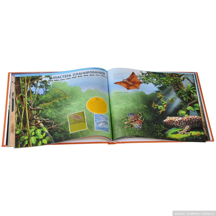 Богатство книжного мира — Интересное и необычное: фотоподборки (фото 8)