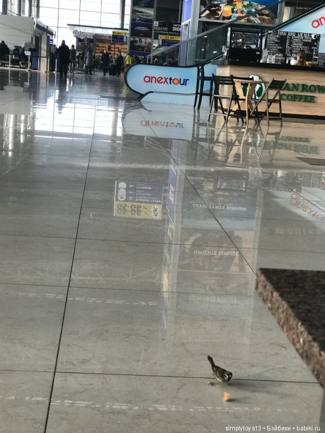 Начало путешествия Луны — Туризм и путешествия: фотоотчеты из поездок (фото 5)