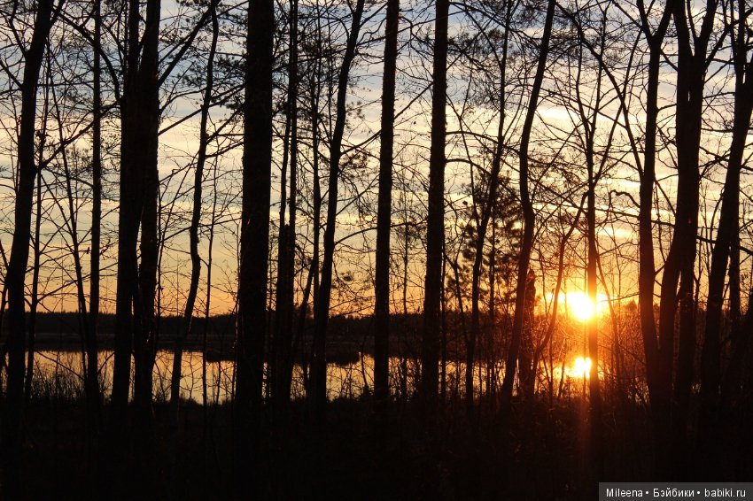 Царство ведьм — Куклы Integrity Toys (Интегрити): Poppy Parker (фото 10)