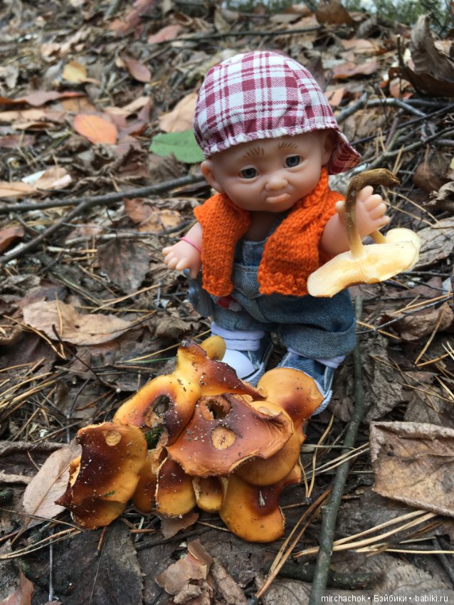 Ноябрьский тёплый день в лесу