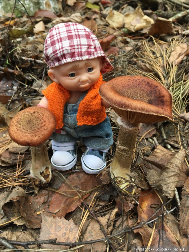 Ноябрьский тёплый день в лесу (фото 10)