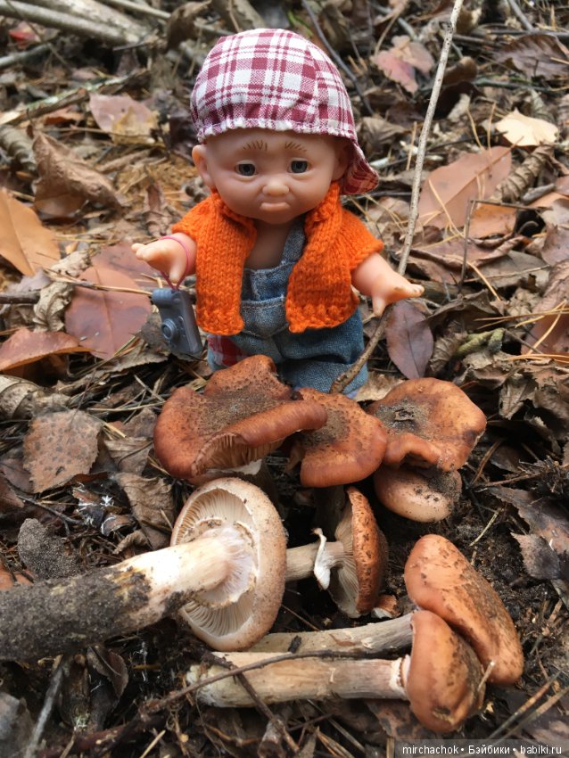 Ноябрьский тёплый день в лесу (фото 7)