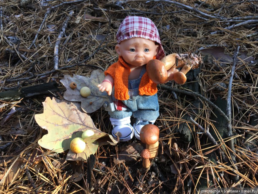 Ноябрьский тёплый день в лесу (фото 2)