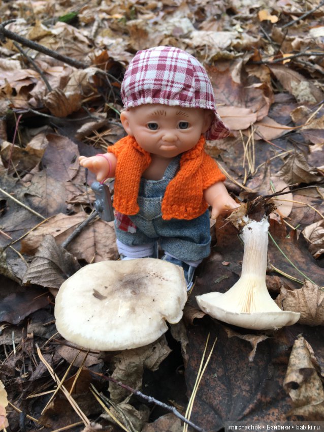 Ноябрьский тёплый день в лесу (фото 5)