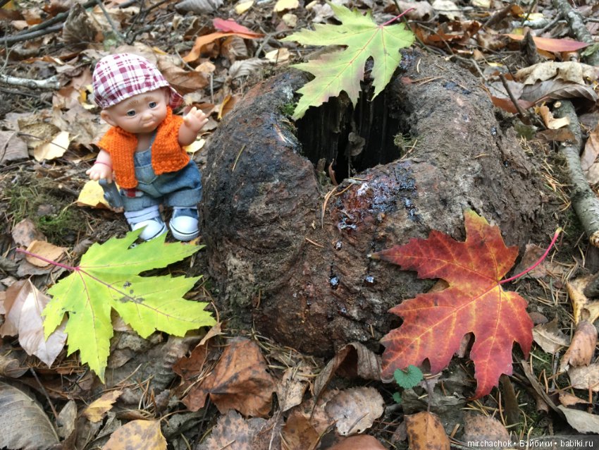 Ноябрьский тёплый день в лесу