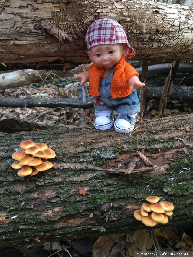 Ноябрьский тёплый день в лесу