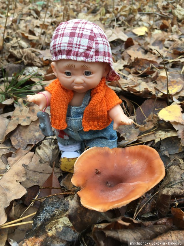 Ноябрьский тёплый день в лесу (фото 6)