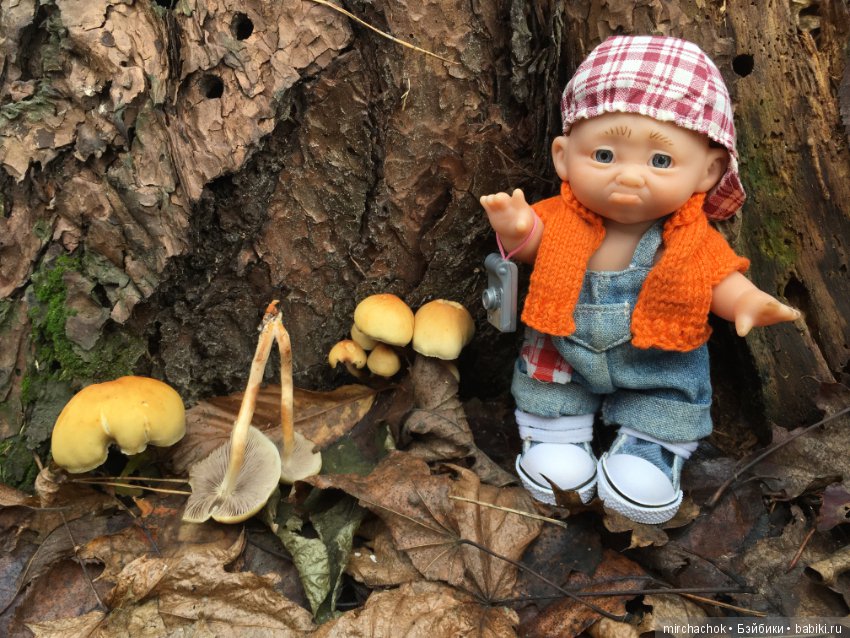 Ноябрьский тёплый день в лесу (фото 4)