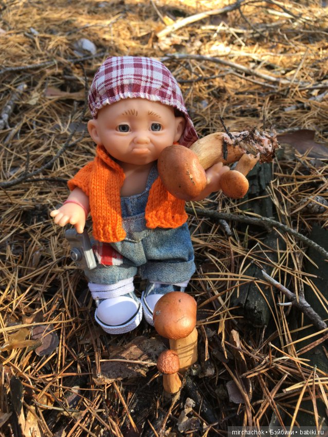 Ноябрьский тёплый день в лесу