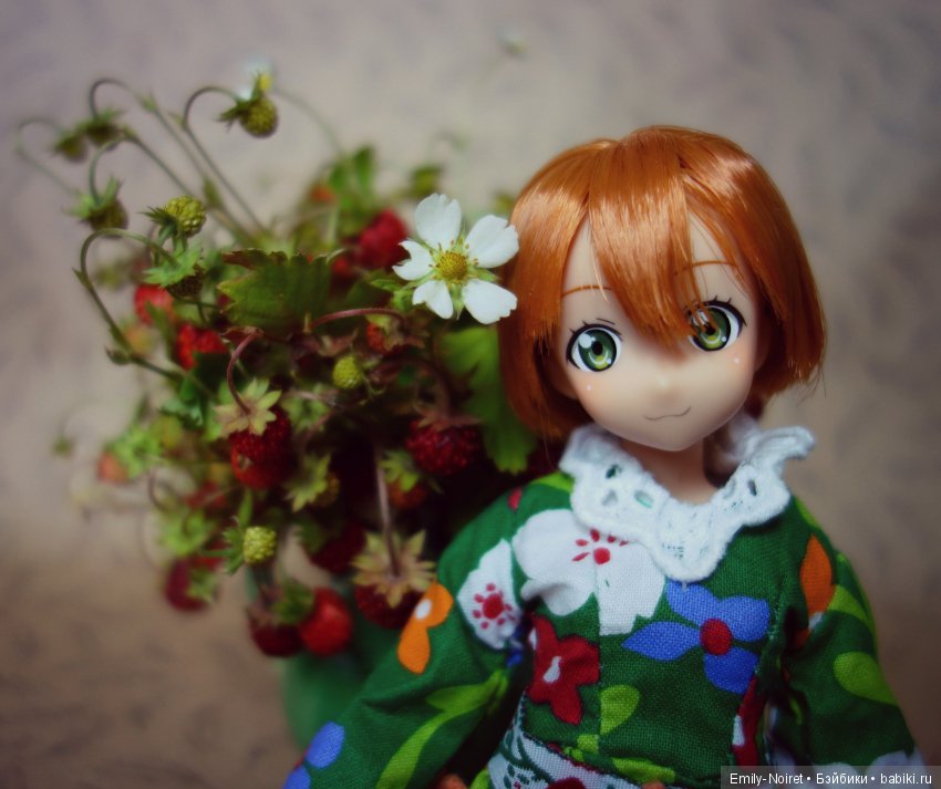 Love Live! Hoshizora Rin — Аниме куклы (MJD/Винил): Imomo (фото 10)