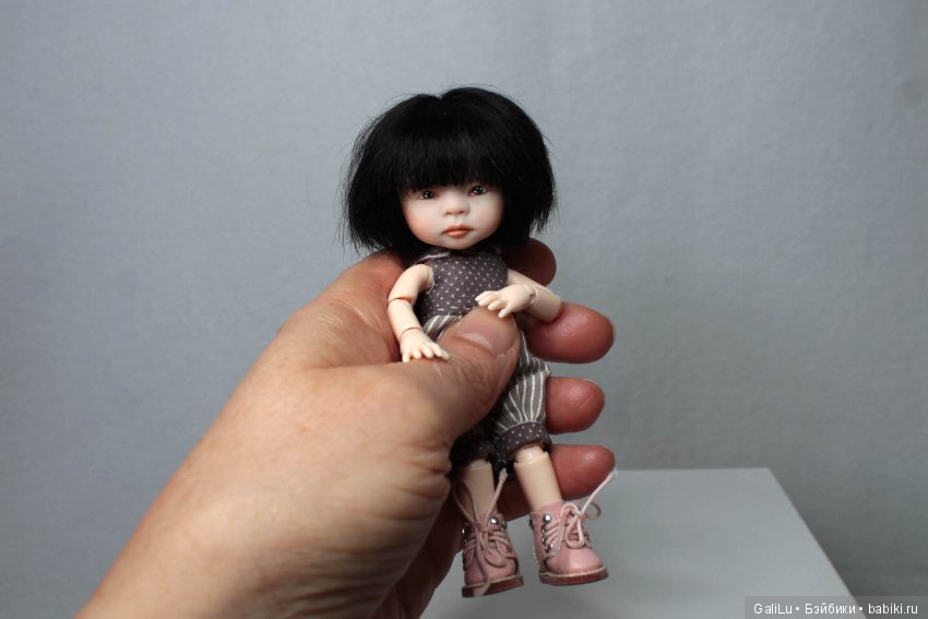 Хомка подружился с жабой — Домашние коллекции кукол: фото собраний