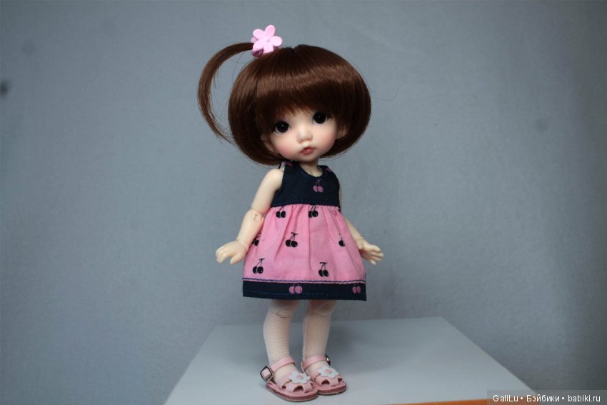 Хомка подружился с жабой — Домашние коллекции кукол: фото собраний