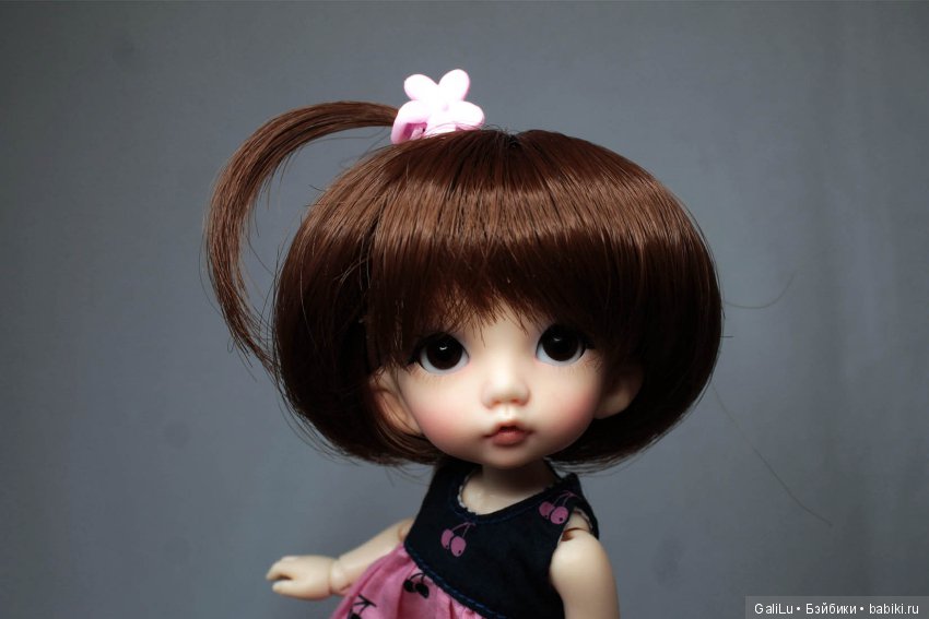 Хомка подружился с жабой — Домашние коллекции кукол: фото собраний