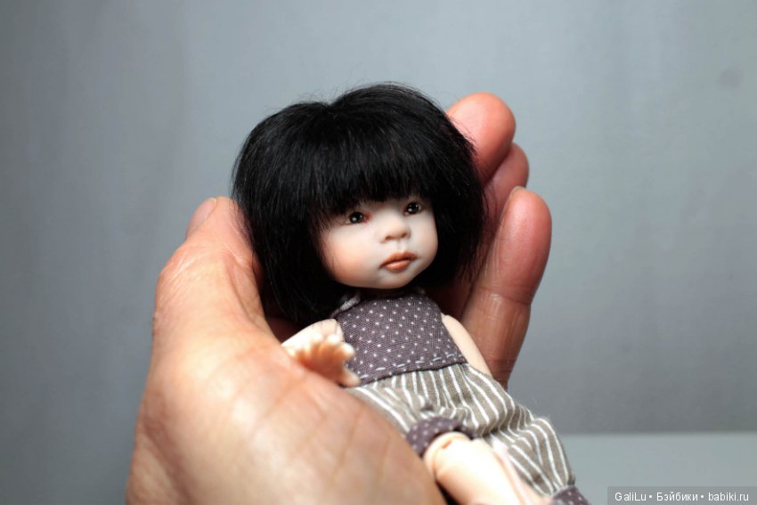 Хомка подружился с жабой — Домашние коллекции кукол: фото собраний