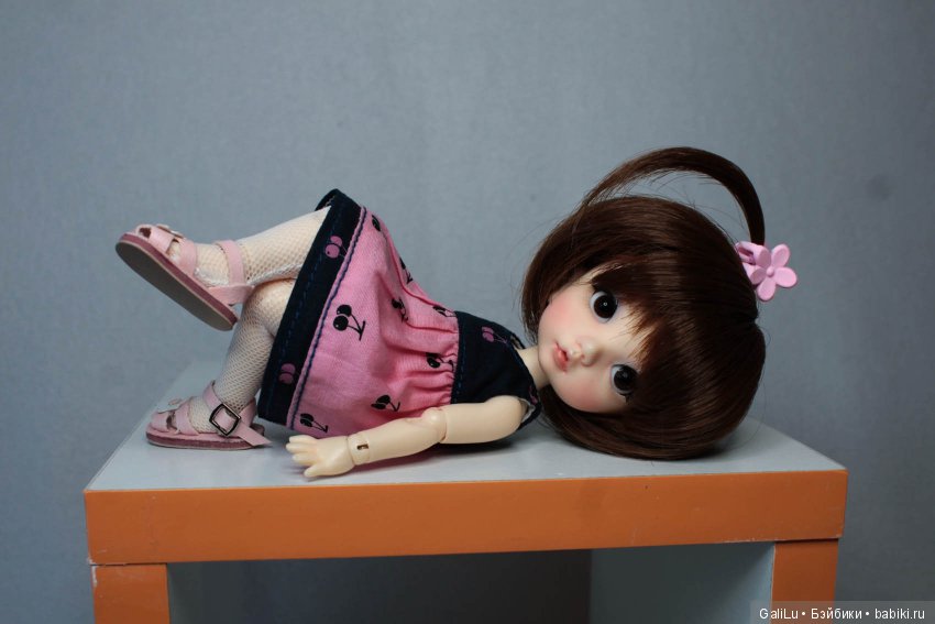 Хомка подружился с жабой — Домашние коллекции кукол: фото собраний