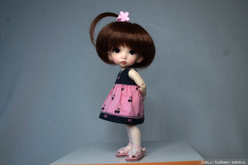 Хомка подружился с жабой — Домашние коллекции кукол: фото собраний