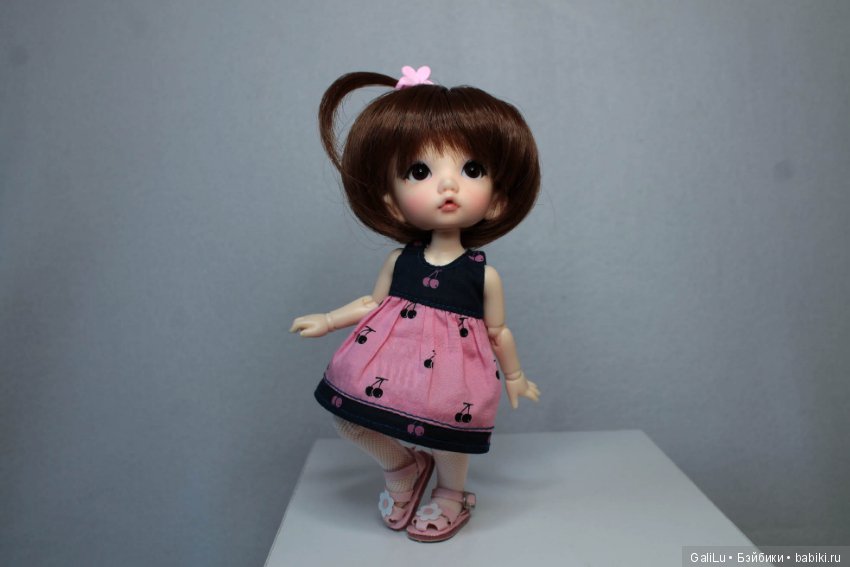 Хомка подружился с жабой — Домашние коллекции кукол: фото собраний