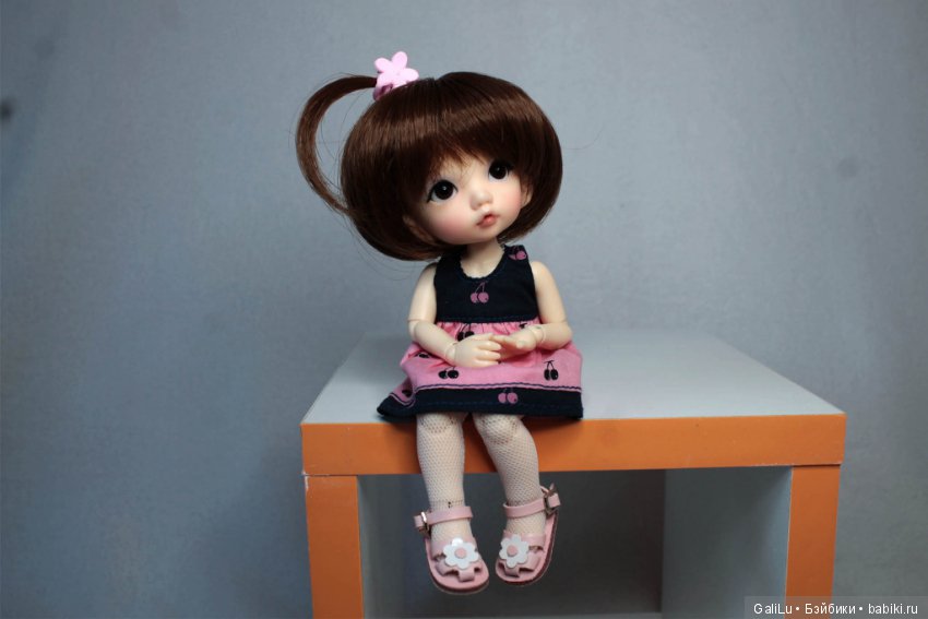 Хомка подружился с жабой — Домашние коллекции кукол: фото собраний