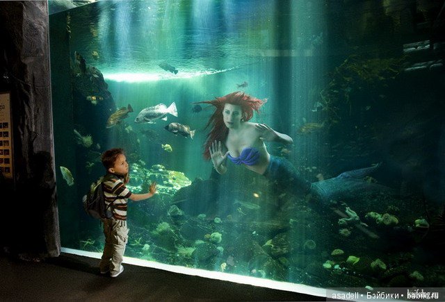 Старые сказки на новый лад