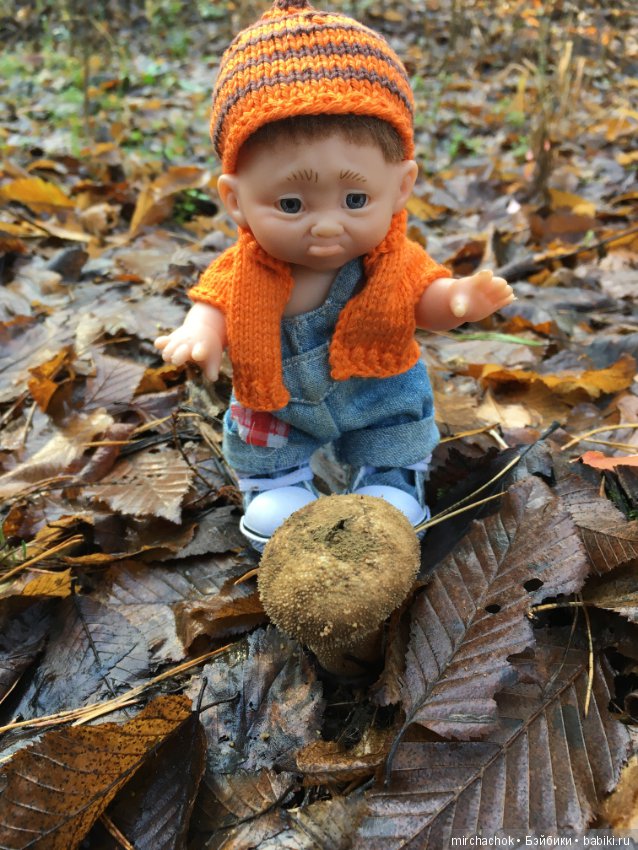 Засентябрило в Ноябре, засентябрило (фото 5)