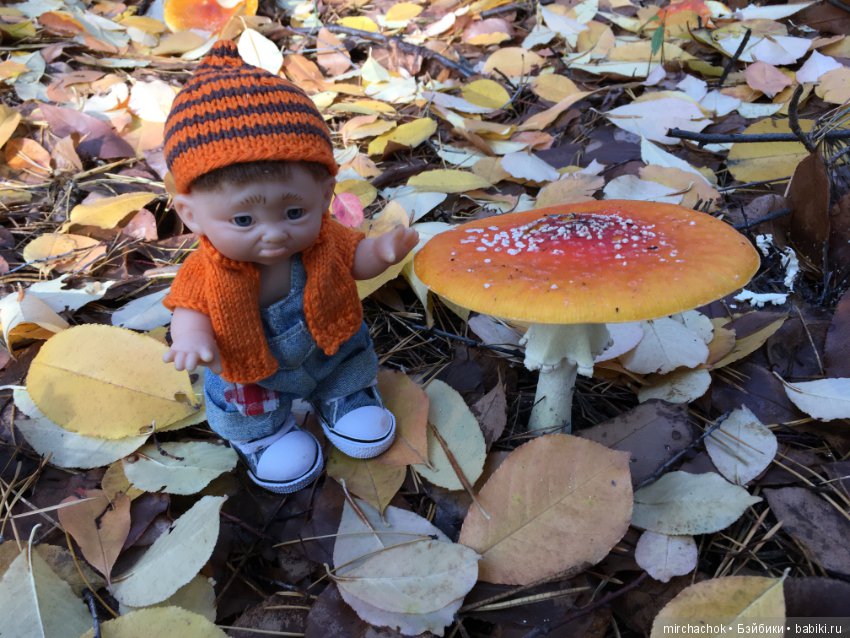 Засентябрило в Ноябре, засентябрило