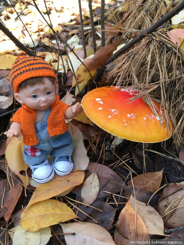 Засентябрило в Ноябре, засентябрило