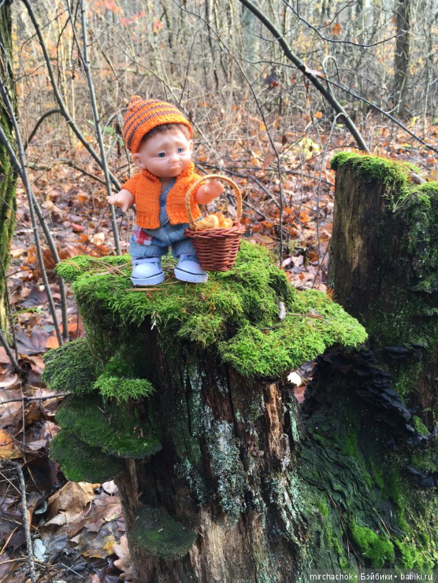 Засентябрило в Ноябре, засентябрило (фото 7)