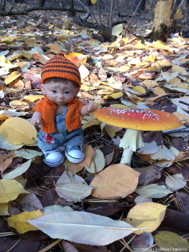 Засентябрило в Ноябре, засентябрило