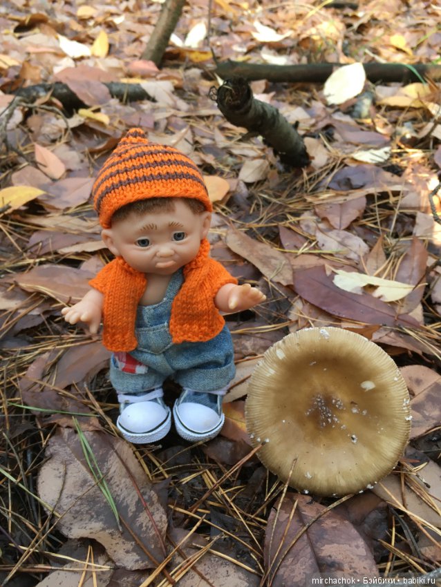 Засентябрило в Ноябре, засентябрило