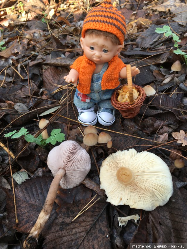 Засентябрило в Ноябре, засентябрило (фото 3)