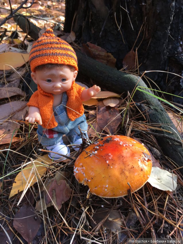 Засентябрило в Ноябре, засентябрило