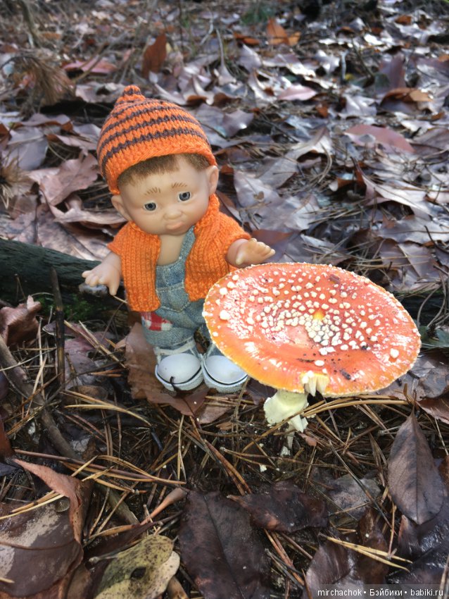 Засентябрило в Ноябре, засентябрило