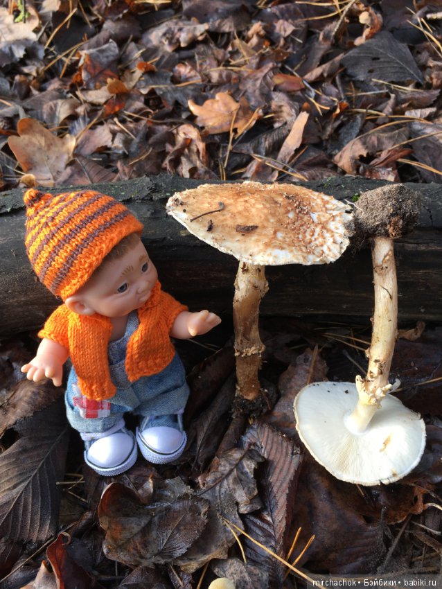 Засентябрило в Ноябре, засентябрило (фото 2)