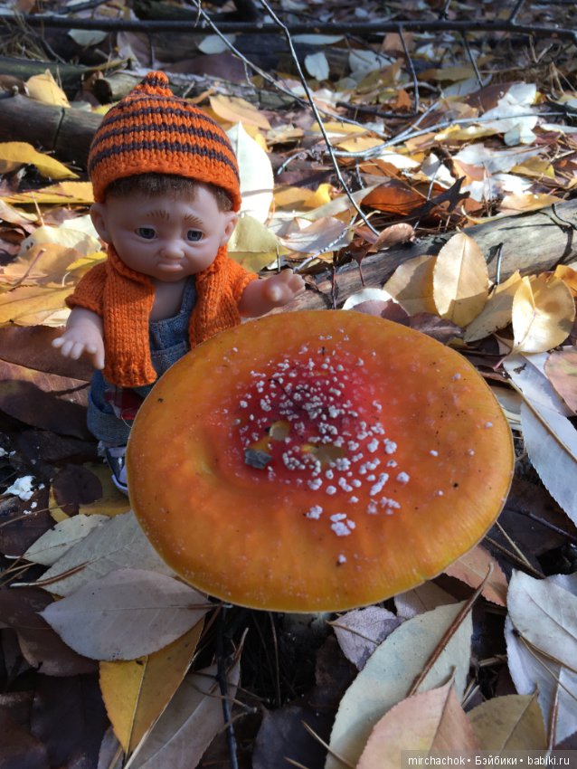 Засентябрило в Ноябре, засентябрило