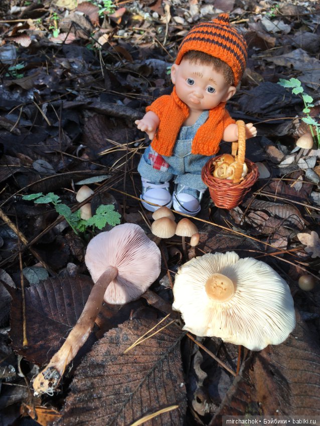 Засентябрило в Ноябре, засентябрило (фото 4)