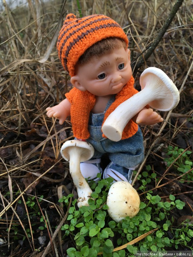 Засентябрило в Ноябре, засентябрило