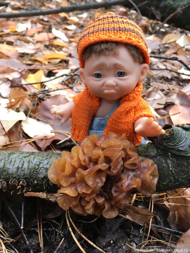 Засентябрило в Ноябре, засентябрило