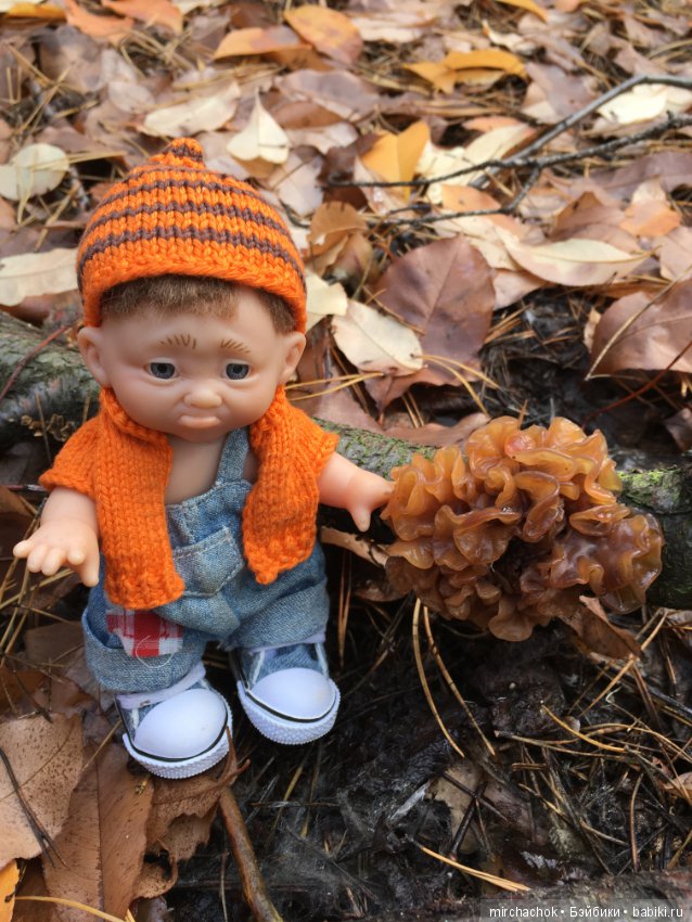 Засентябрило в Ноябре, засентябрило