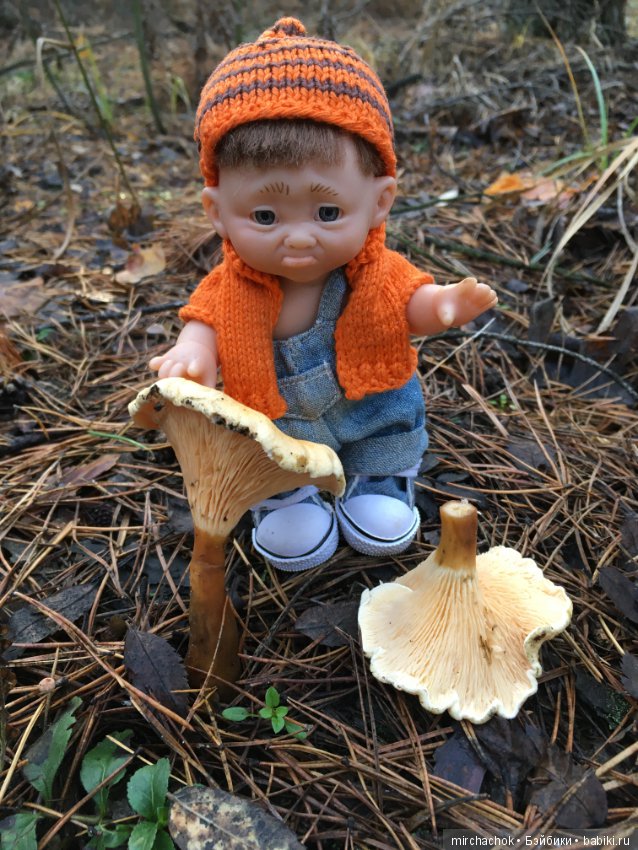 Засентябрило в Ноябре, засентябрило