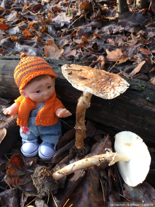 Засентябрило в Ноябре, засентябрило