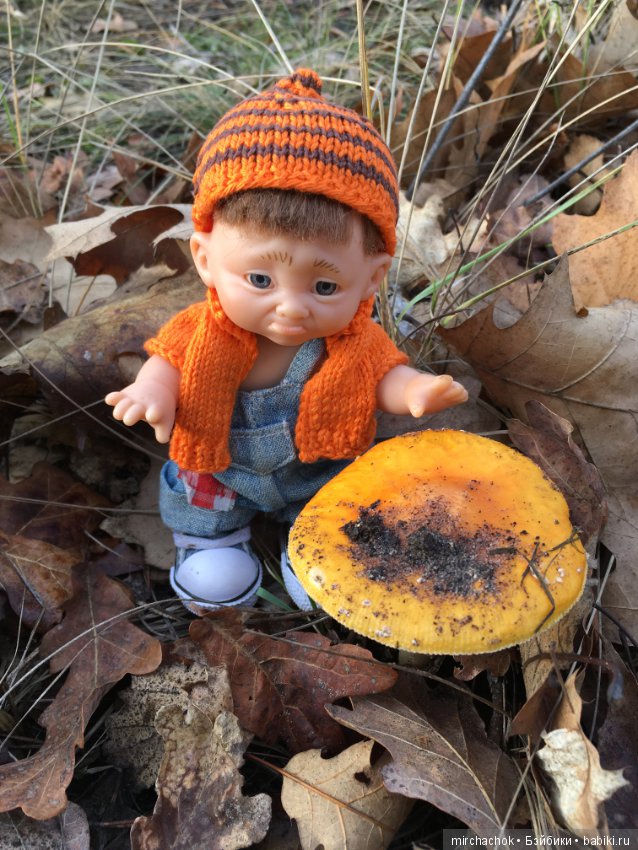 Засентябрило в Ноябре, засентябрило