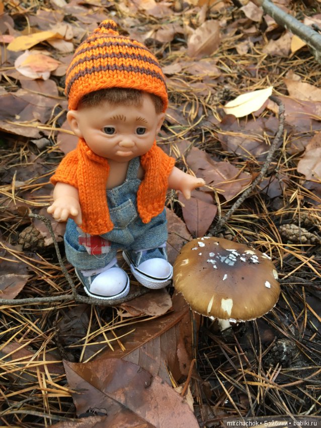 Засентябрило в Ноябре, засентябрило