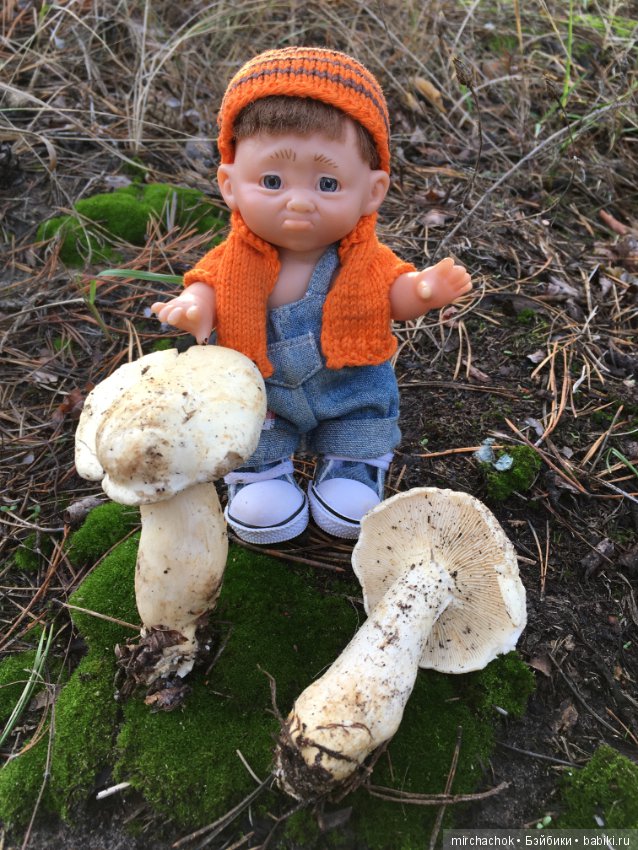 Засентябрило в Ноябре, засентябрило