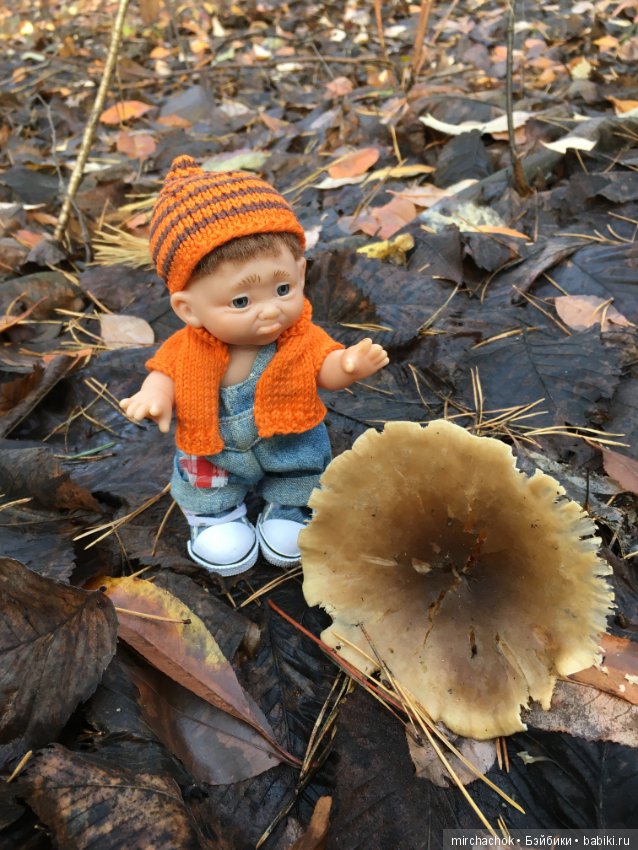 Засентябрило в Ноябре, засентябрило