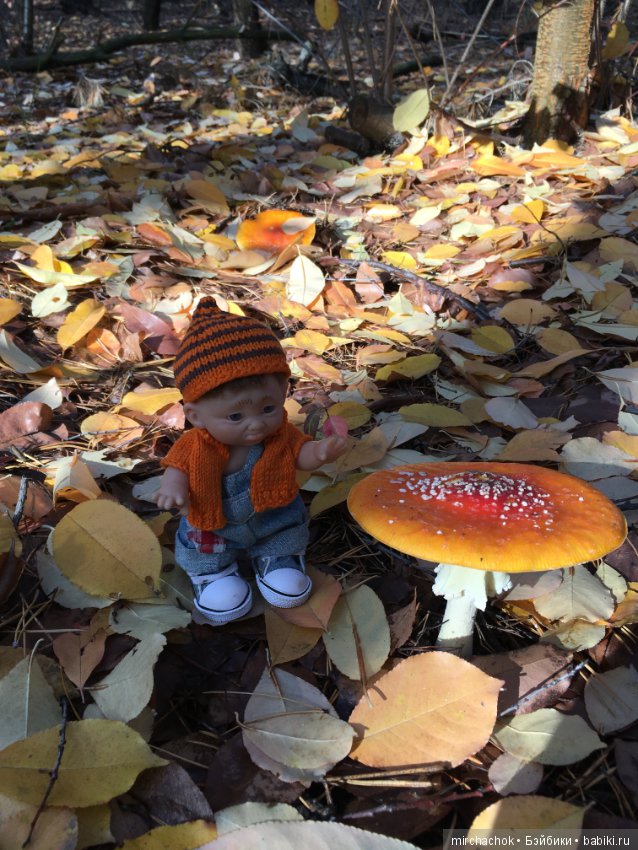 Засентябрило в Ноябре, засентябрило