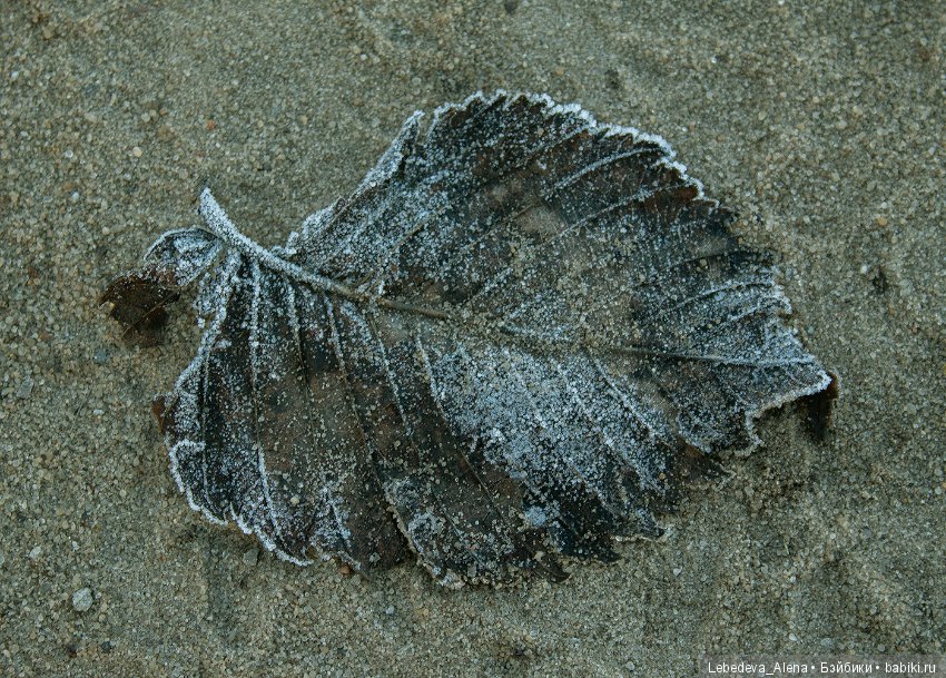 Яша и первые заморозки — Куклы Fairyland (ФэйриЛэнд): BJD (БЖД) (фото 9)