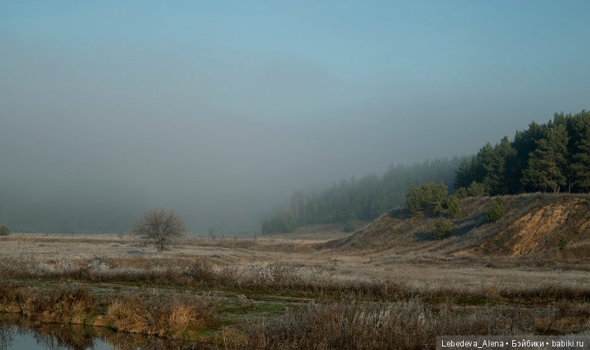 Яша и первые заморозки — Куклы Fairyland (ФэйриЛэнд): BJD (БЖД) (фото 8)