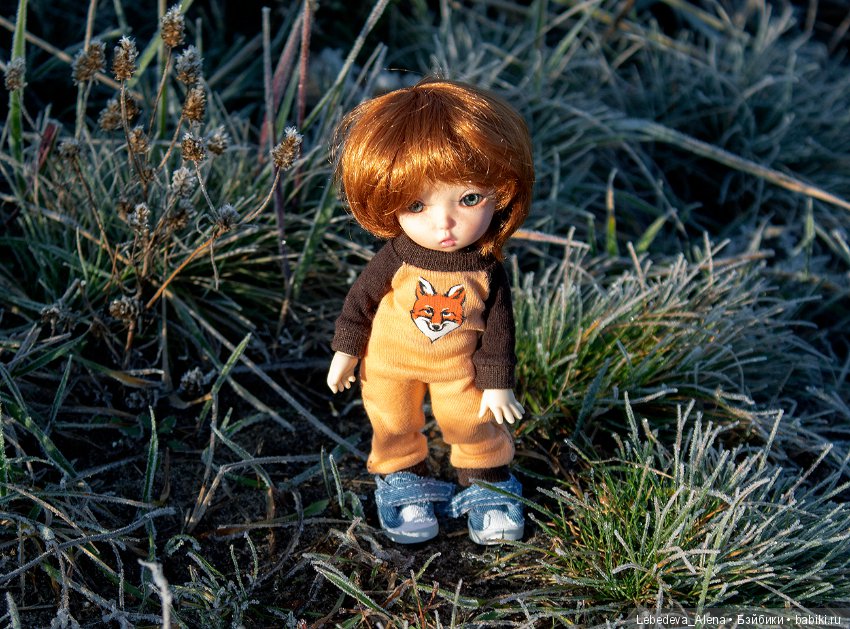 Яша и первые заморозки — Куклы Fairyland (ФэйриЛэнд): BJD (БЖД) (фото 7)