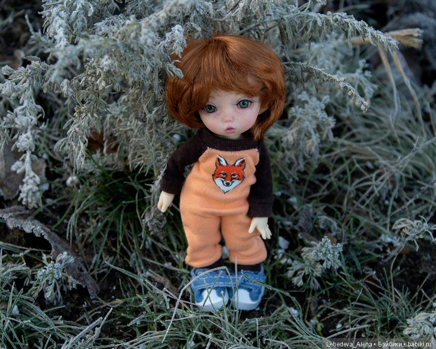 Яша и первые заморозки — Куклы Fairyland (ФэйриЛэнд): BJD (БЖД) (фото 3)